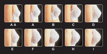 c罩图片,探寻女性魅力新维度