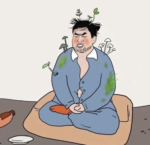 不会吧图片,揭秘“不会吧”图片背后的趣味与思考